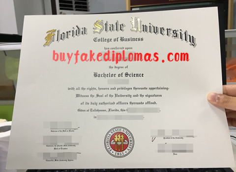 Florida State University Degree Sample 480x351 