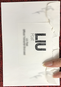 sland University Envelope, Buy Fake sland University Envelope