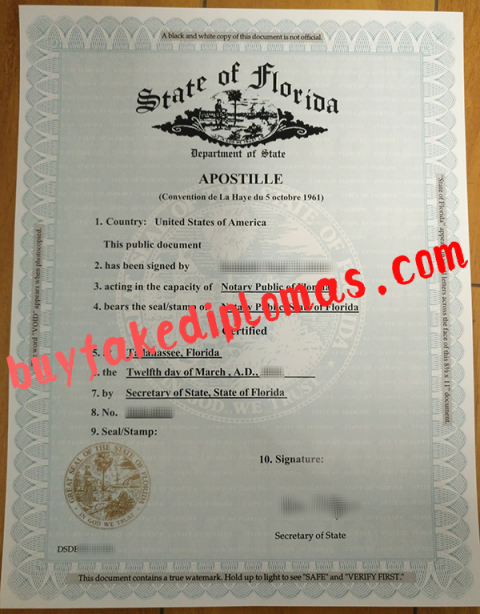 How Can I Shopping Fake Florida Apostille Certificate Buy Fake   Florida Apostille D 480x614 