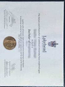 Lakehead University fake diploma