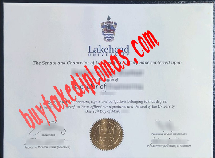 Lakehead University fake diploma