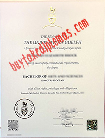 University of Guelph fake diploma