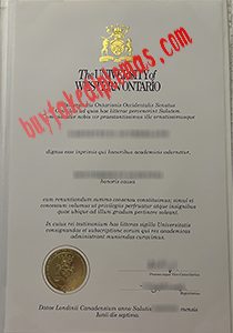 University of Western Ontario fake diploma