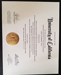 University of California Davis fake diploma