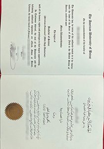 American University of Beirut fake diploma