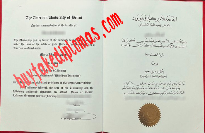 American University of Beirut fake diploma