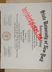 State University of New York University at Albany fake diploma