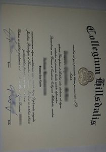 Hillsdale College fake diploma