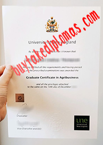 University of New England fake diploma