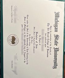 What are the benefits of buy Michigan State University fake diploma online?